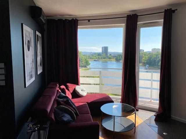 Family & Business Sauna Apartments Klonowa Nad Zalewem, Unikat Spa キェルツェ エクステリア 写真